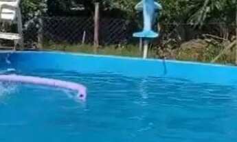 Imagem 2: Chácara disponível pra locação festa, feriados e durante semana, localizada em Barão geral