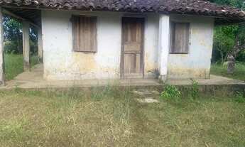 Imagem 7: Sítio de 1,2 tarefa a venda em Maragogipe BA