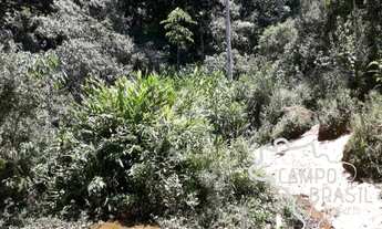 Imagem 7: Oportunidade! Área rural com muito potencial em São Francisco Xavier!