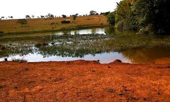 Imagem 5: Fazenda de ( 152,4 Hect ) Região De São Francisco De Sales-MG