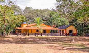 Imagem: Fazenda em Rio Sono. 60 mil o alqueire