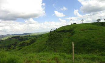 Imagem 6: 220 Alq. Guaraniaçu-Pr