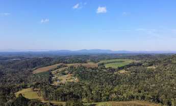 Imagem 4: Área com 100.000 m2 em Campo Alegre - SC