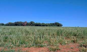 Imagem 3: Fazenda de ( 152,4 Hect ) Região De São Francisco De Sales-MG