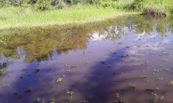 Imagem 2: Grande sítio em Japeri