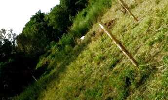 Imagem 3: TERRENO DE CHÁCARA 800M2 , DISTRITO DE SANTA TEREZINHA