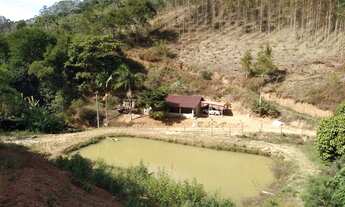 Imagem: Sítio em D. Martins