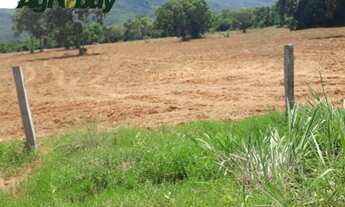 Imagem 4: Fazenda em Fátima to Com 307 Alqueires