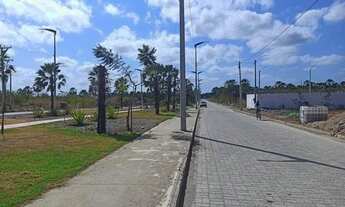 Imagem 3: Loteamento Pacatuba Iv,Ao Lado Da Cervejaria Heineken Infraestrutura Completa! n°:18