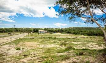 Imagem 7: Lotes de 12x33 em Aquiraz