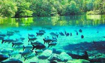 Imagem 5: Casas de tempora bonito ms WhatsApp (67) 99349?0768