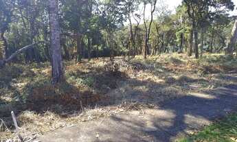 Imagem 4: Oportunidade Vendo Lotes 1.000m² Uso Residencial e Comercial