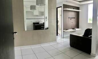 Imagem: Vendo- apto 2/4 ideal samambaia