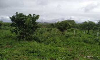 Imagem 2: Terreno para Chácara em Buique!