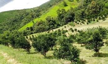 Imagem 5: Vende-se chácara em cerro azul