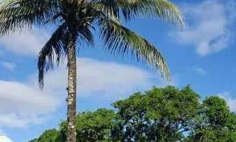 Imagem 4: Chácara para eventos - 5 mil m2 murada