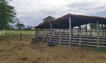 Imagem 4: Fazenda com 100 hactares à 20km de Bom Jesus da Lapa-BA