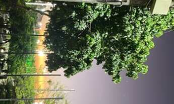 Imagem: Alugo quarto pro fortal