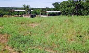Imagem 5: Venda Sítio - 24 hectares - Casa sede e de Caseiro - Nossa Senhora do Livramento - MT