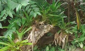 Imagem 7: Apartamento para venda possui 105 metros quadrados com 3 quartos em -