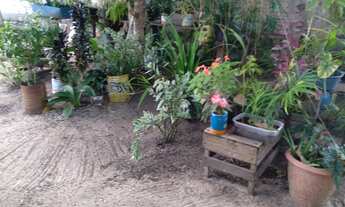 Imagem 3: Vende uma casa Casa com 2 dormitórios