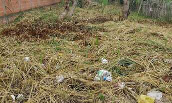 Imagem 3: Vende-se terreno na rua Lourenço Lopes Altamira
