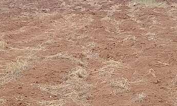 Imagem 4: Sítio com duas tarefas