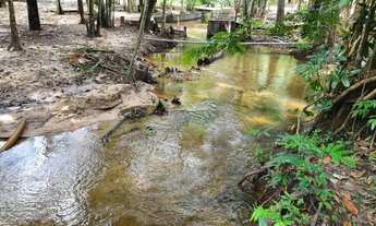 Imagem: Terreno com igarapé no São Pedro - Ramal