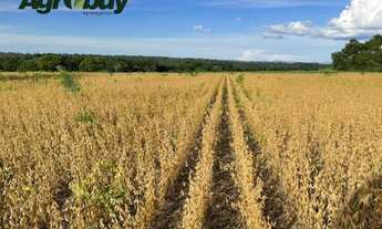 Imagem 3: Fazenda Com 50km de Palmas