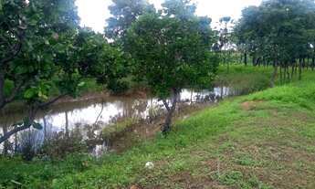 Imagem 6: Venda de um sítio em José de Freitas - PI