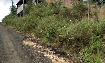 Imagem 5: Terreno ótimo em Bom Jesus dos pobres - Valor a combinar