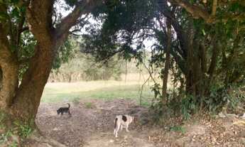 Imagem 2: Vendo lote beira do rio Sapucaí