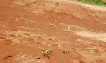 Imagem 2: CRICIÚMA - Terreno Padrão - SAO DEFENDE