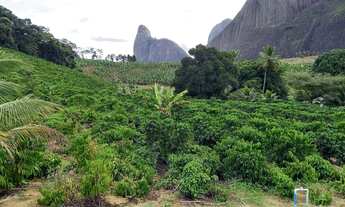 Imagem 5: Sítio na região de Lajinha, município de Pancas ES com 16 hectares