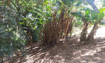 Imagem 7: Vendo chácara de 5.000