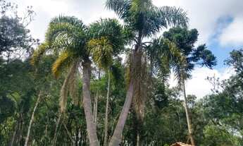 Imagem 7: Linda chácara em Campo Alegre SC - 9.000 m²