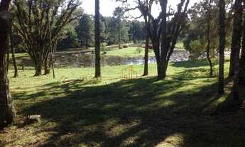 Imagem 4: Sítio no bairro Ulisses de Abreu em Canela!