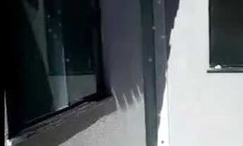 Imagem 4: TP39. Disponível para venda