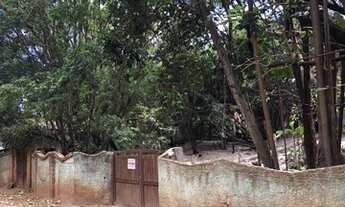 Imagem: Casa ampla em terreno arborizado no início