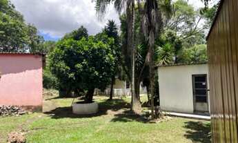 Imagem 4: Chácara top 6.390 metros com 4 casas um galpão e 2 porção de frente à Candangolândia