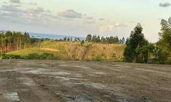 Imagem 5: Lotes em Paripueira