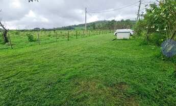 Imagem 7: Chácara na Avenida Japão (Aroeiras
