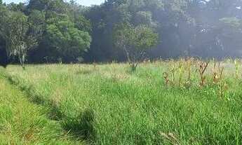 Imagem 3: Velleda oferece ótimo sítio de 3 hectares em Viamão, de barbada, preço de terreno!