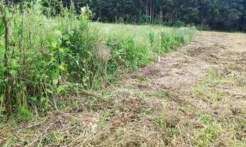 Imagem: Lote/Terreno para venda possui 500 metros