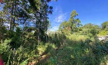 Imagem 6: GRAMADO - Terreno Padrão - Carazal