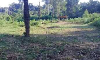 Imagem 4: Vende se chácara perto do banho Paraisópolis