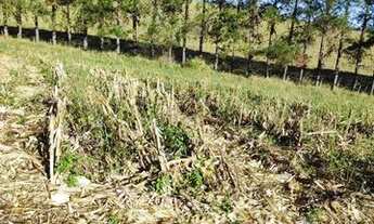 Imagem 7: Terrenos Em Atibaia Parcelamos 1000M² Zoneamento Urbano Invista Em Terreno Em Condominio