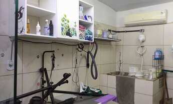 Imagem 4: Passo Pet shop centro de Mesquita