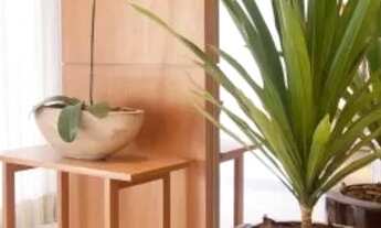 Imagem 3: APARTAMENTO RESIDENCIAL em São Paulo - SP, Morumbi