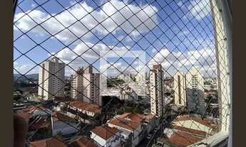 Imagem 5: Apartamento para Aluguel - Piqueri, 3 Quartos, 75 m2